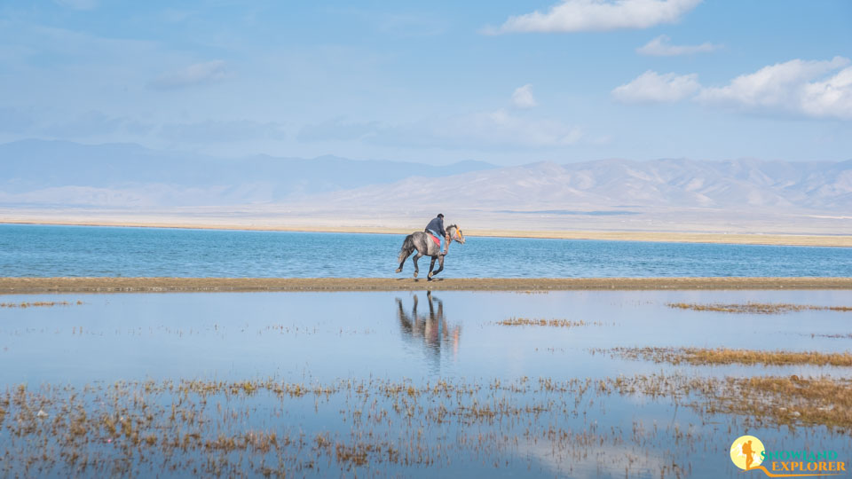 Riding Horse at Qinghai Lake