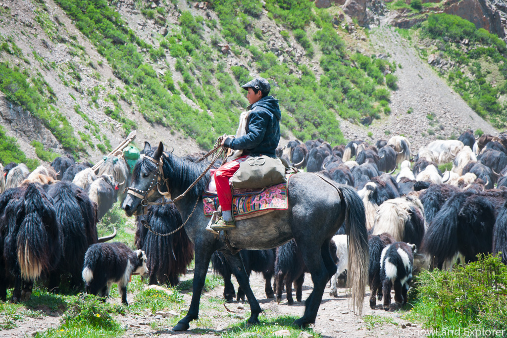 You will meet nomads from time to time during the Mount Amnye Machen Trek