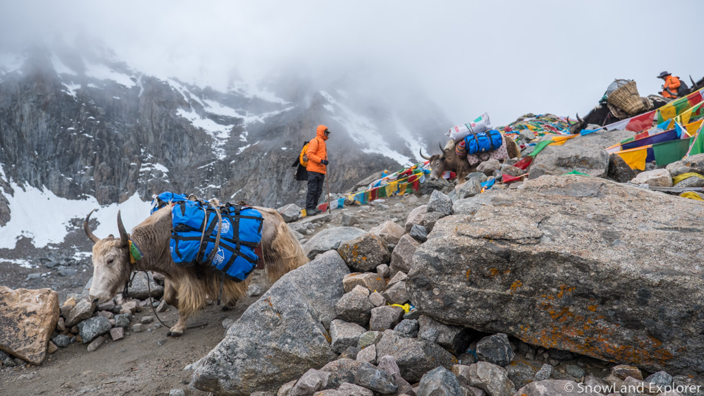 Yaks and trekkers passing the Dolma-la pass which is the highest point during Mount Kailash Trek