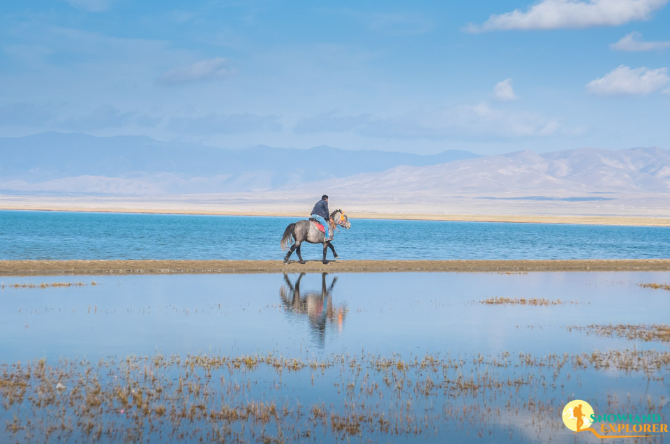Riding Horse at the shore of Qinghai lake 